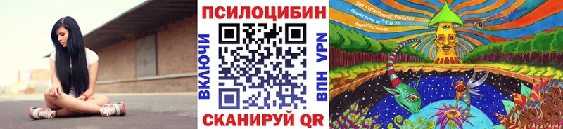 Псилоцибиновые грибы мицелий  kraken онион  Шатура  магазин продажи  