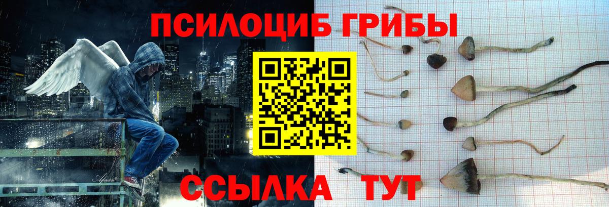 Галлюциногенные грибы Cubensis  Псилоцибиновые грибы мухоморы  Вход с VPN  Шатура 