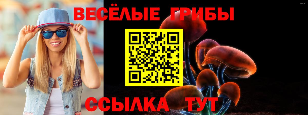 Псилоцибиновые грибы Psilocybe  Шатура 
